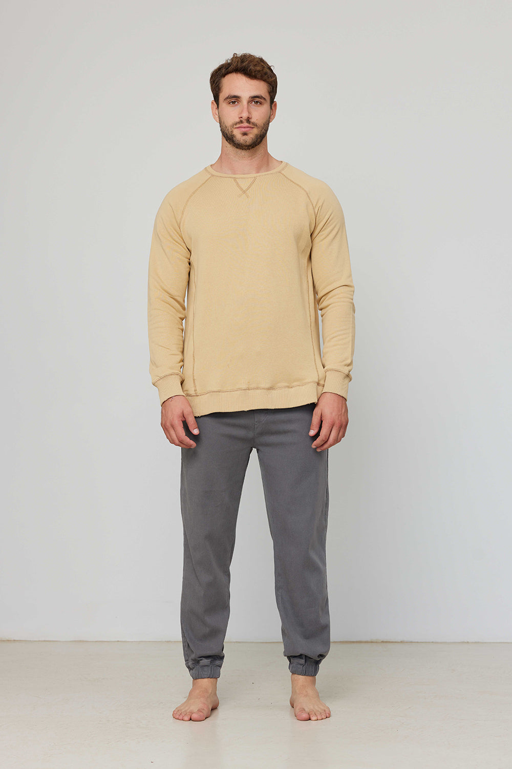 Men Sweatshirt Sand